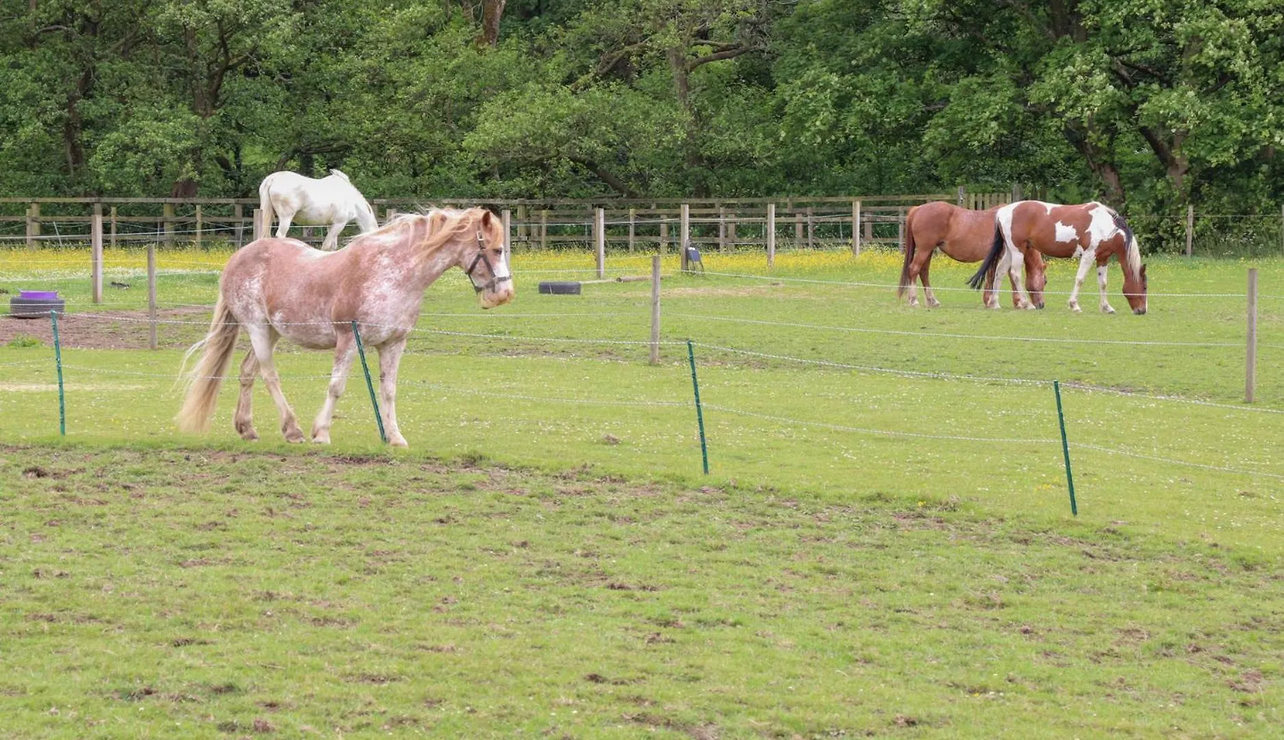 Bullace Barn Thurlstone 0*,  Großbritannien
